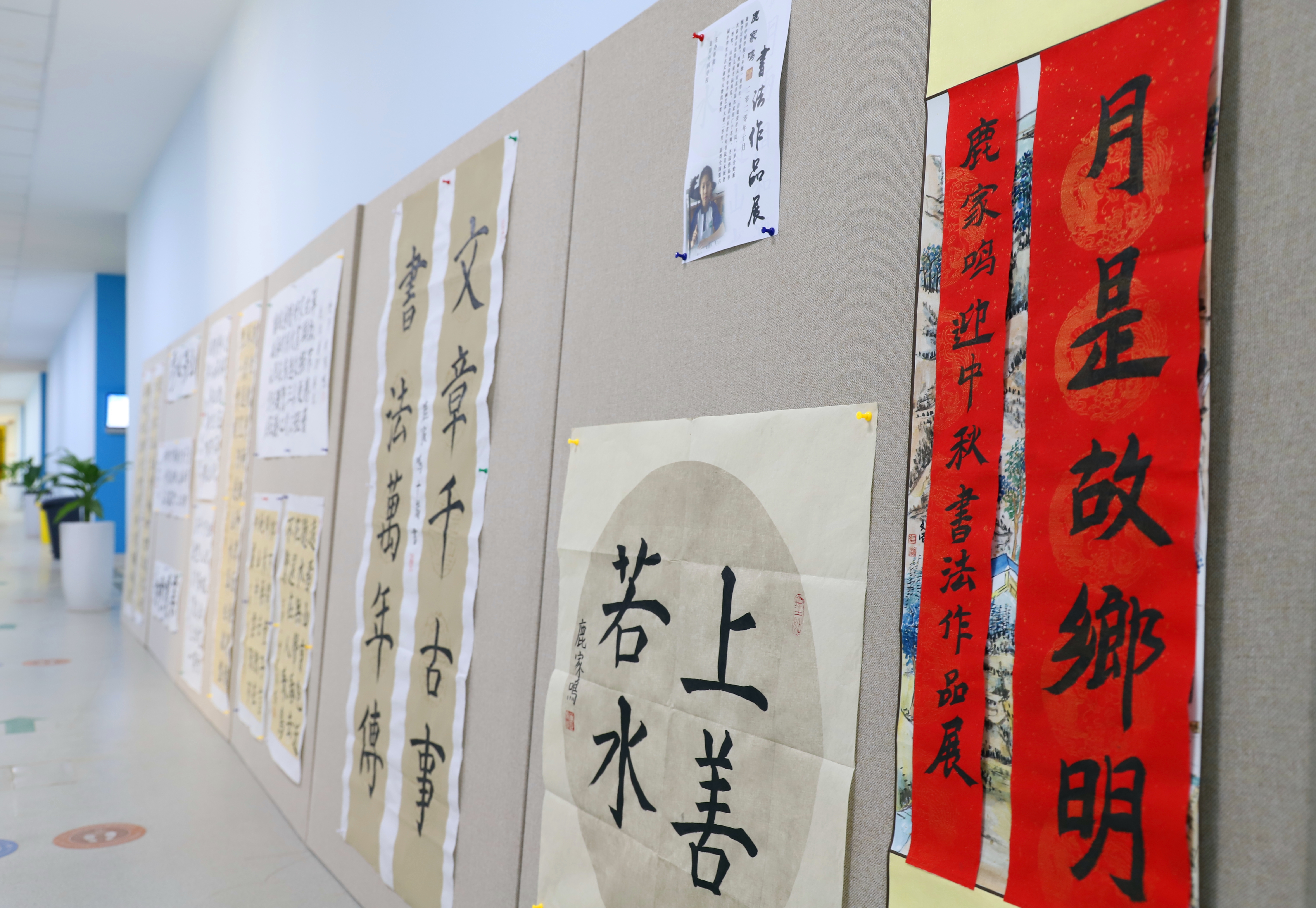 鹿家鸣同学个人书法展