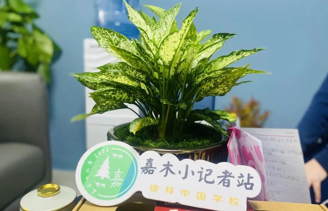 七十四载征途闪耀 异地迎贺国庆同欢嘉木小记者站国庆节特别报道